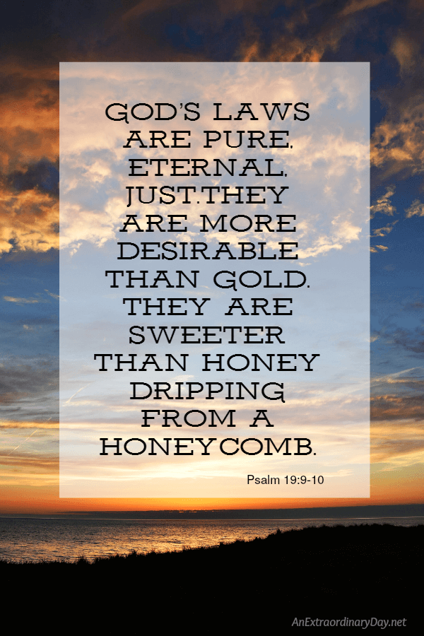 Scripture Quote from Psalm 19 Be inspired a devotional - Get a Glimpse of God from the Word 