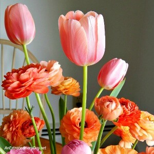 Beautiful ranunculus bouquet