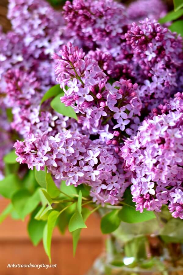 Breathe in beauty and release stress with a bouquet of lilacs