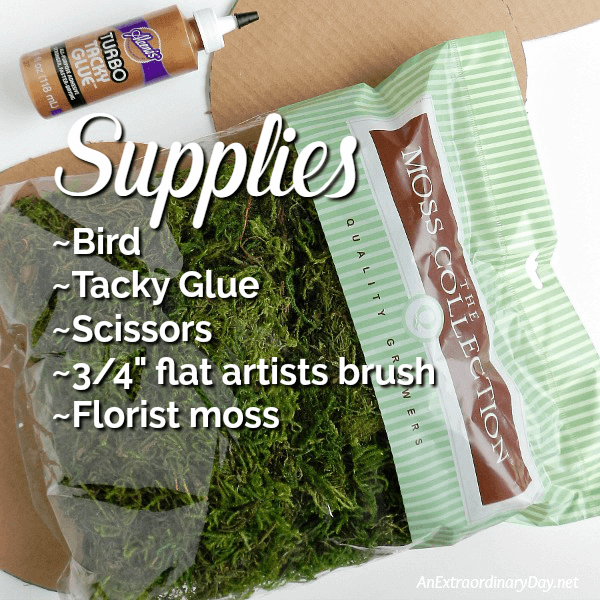 DIY Moss Bird Supply List