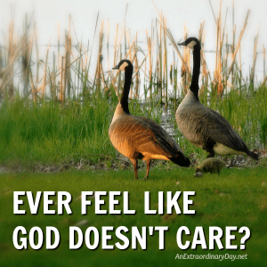 Even when it doesn't feel like it... God cares for you
