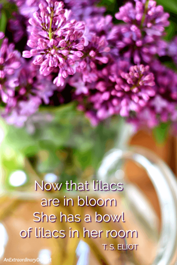 Now that lilacs are in bloom She has a bowl of lilacs in her room TS Eliot QUOTE 