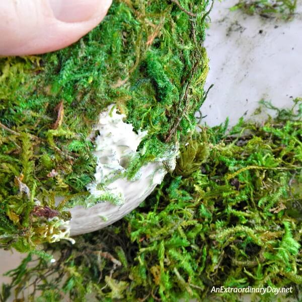 Pressing moss bits into the glue 