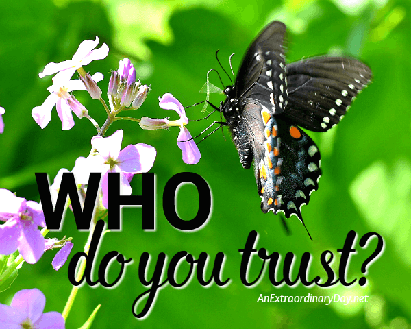 Who do you trust Join me for a brief devotional to help you start trusting again
