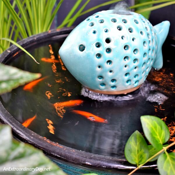 Goldfish are a wonderful addition to our simple balcony garden water fountain feature 