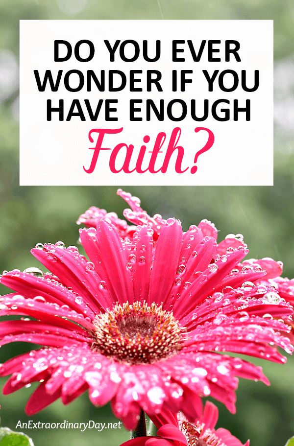 Need more faith? You might be surprised to learn that you may already have all the faith you need. Want to be sure... click here.