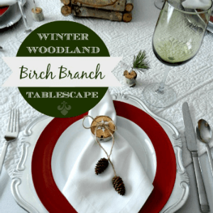 Beautiful Birch Branch Winter Woodland Tablescape