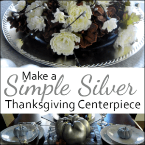 You CAN Create a Simple and Low Cost Silver Centerpiece for your Thanksgiving Gathering