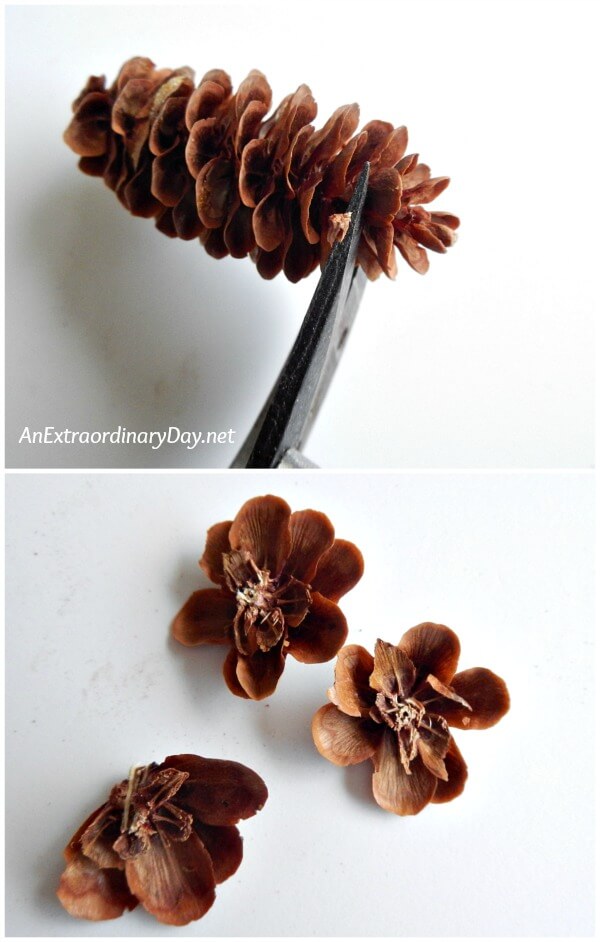 Cut flowers from pine cones with a good pair of sharp snips to make Christmas ornaments