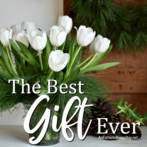 The Best Gift Ever - Inspirational Christmas Devotional offering Words of Love, Hope, and Forgiveness