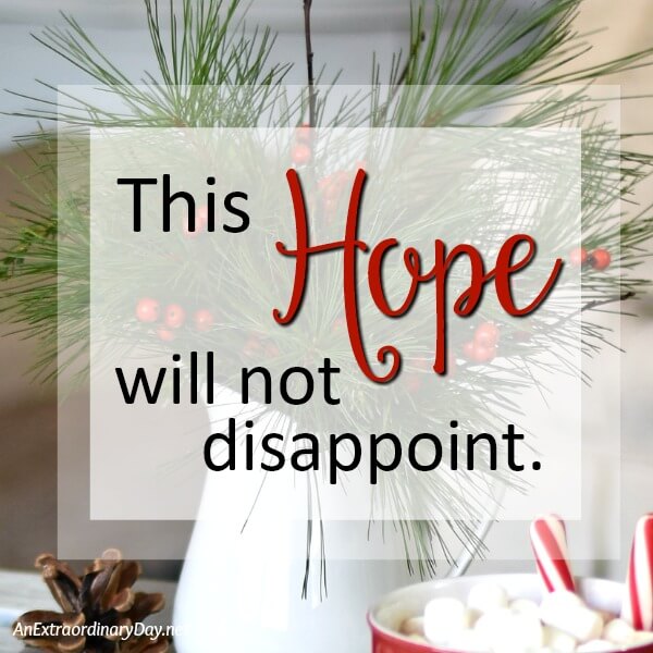 This hope does not disappoint Advent Week 1