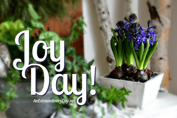 Pot of blue hyacinth bulbs - JoyDay! from an AnExtraordinaryDay.net Devotional on Thriving in Life