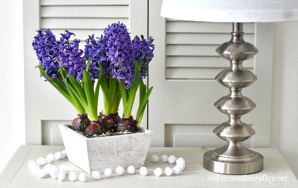 Home decor vignette with blue hyacinths - An inspirational devotional on the gift of solitude - AnExtraordinaryDay.net