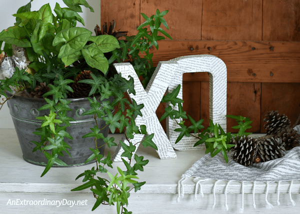 Ivy plant with X and O letters Vignette - God's love at work in us - AnExtraordinaryDay.net