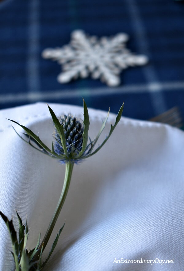 Sea Holly - Winter Figure Skating Table Setting - AnExtraordinaryDay.net