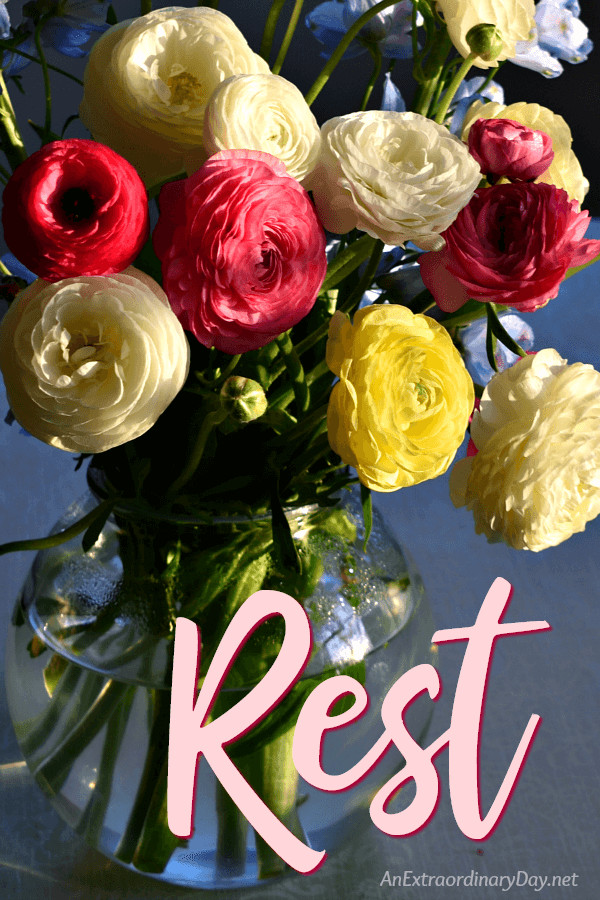 Bouquet of ranunculus with the word Rest - part of an inspirational devotional on rest - AnExtraordinaryDay.net