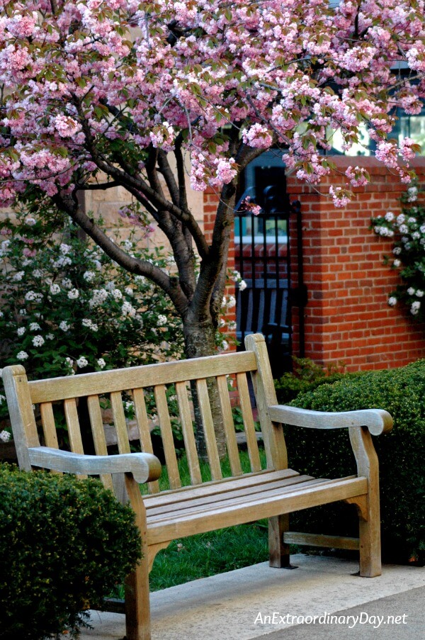 Garden bench below a flowering cherry tree - Inspirational Devotional on PRAYER when you have no idea how to pray - AnExtraordinaryDay.net