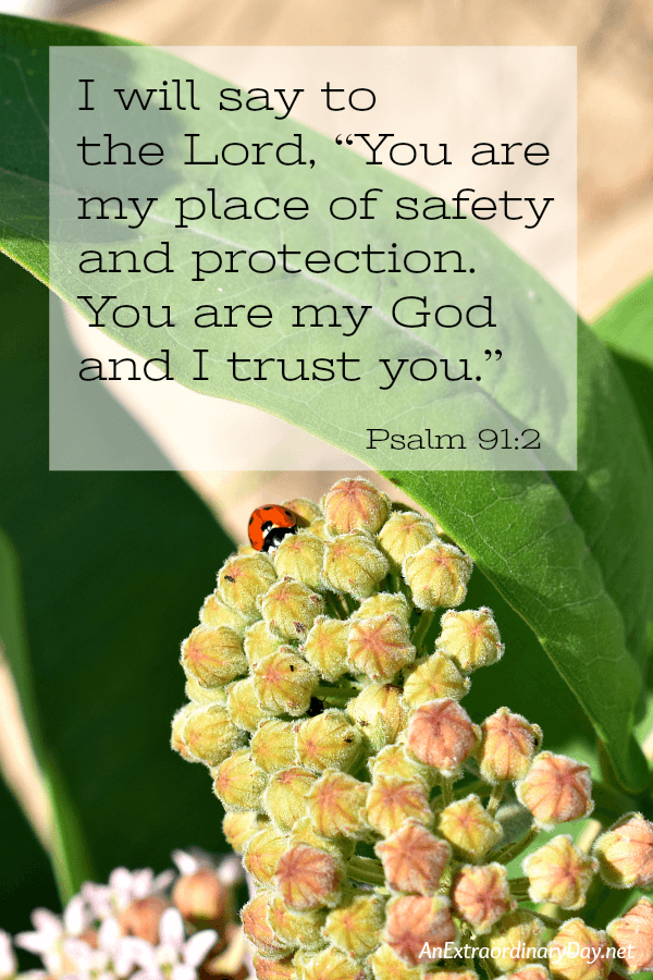 Scripture Verse from Psalm 91 verse 2 - Lord you are my place of safety - AnExtraordinaryDay.net