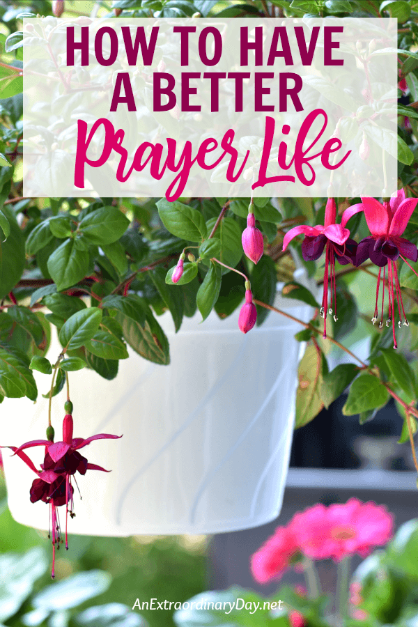 Fuchsia Blossoms in a Hanging Basket with TEXT How to Have a Better Prayer Life - AnExtraordinaryDay.net
