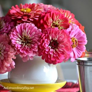 Vase of Pink Zinnias - How to Prepare for an Impromptu Celebration - AnExtraordinaryDay.net