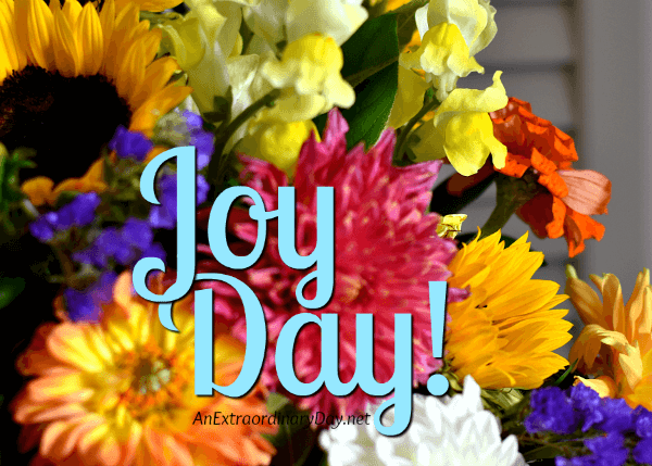 JoyDay! - Pretty Fall Flowers - How to Live in JOY - AnExtraordinaryDay.net