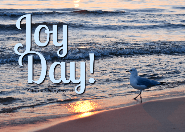 JoyDay! - Seagull on the lake at sunset - Inspiring Devotional on the Kingdom of God - AnExtraordinaryDay.net