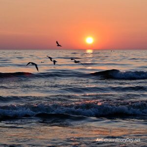 Sunset on Lake Michigan with Seagulls - How to Bring Heaven to Earth an Inspirational Devotional - AnExtraordinaryDay.net