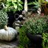 How To Refresh A Container Garden For Fall- AnExtraordinaryDay.net