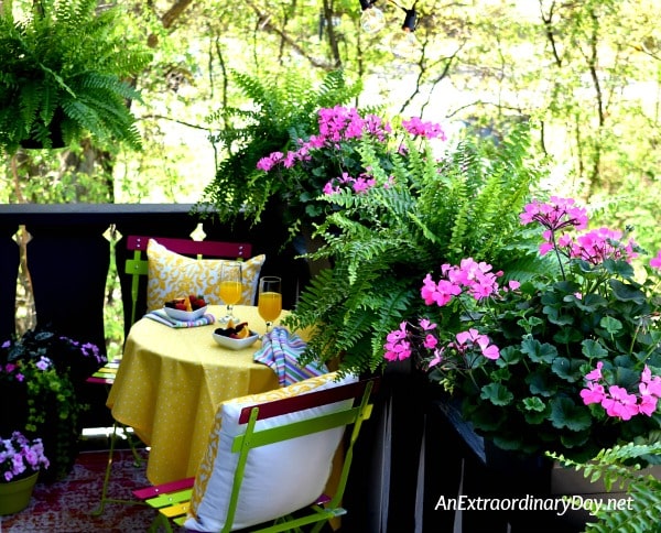 Treetop Balcony Garden and Small Space Dining Spot - AnExtraordinaryDay.net