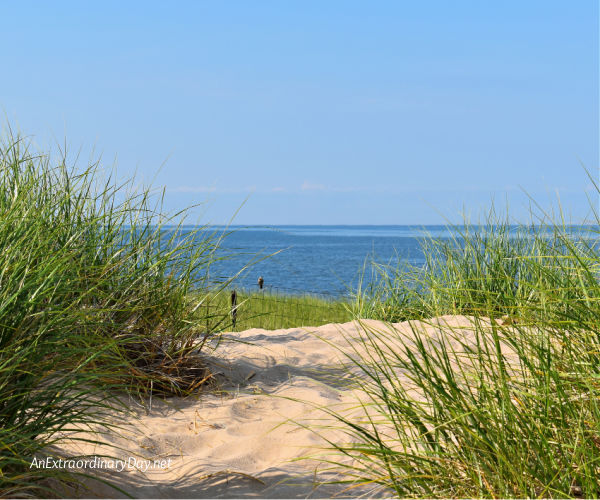 View of Lake Michigan from the sandy bluffs with swaying dune grasses.