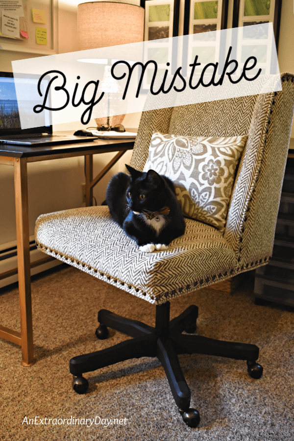 chair with black cat sitting on it in a home office